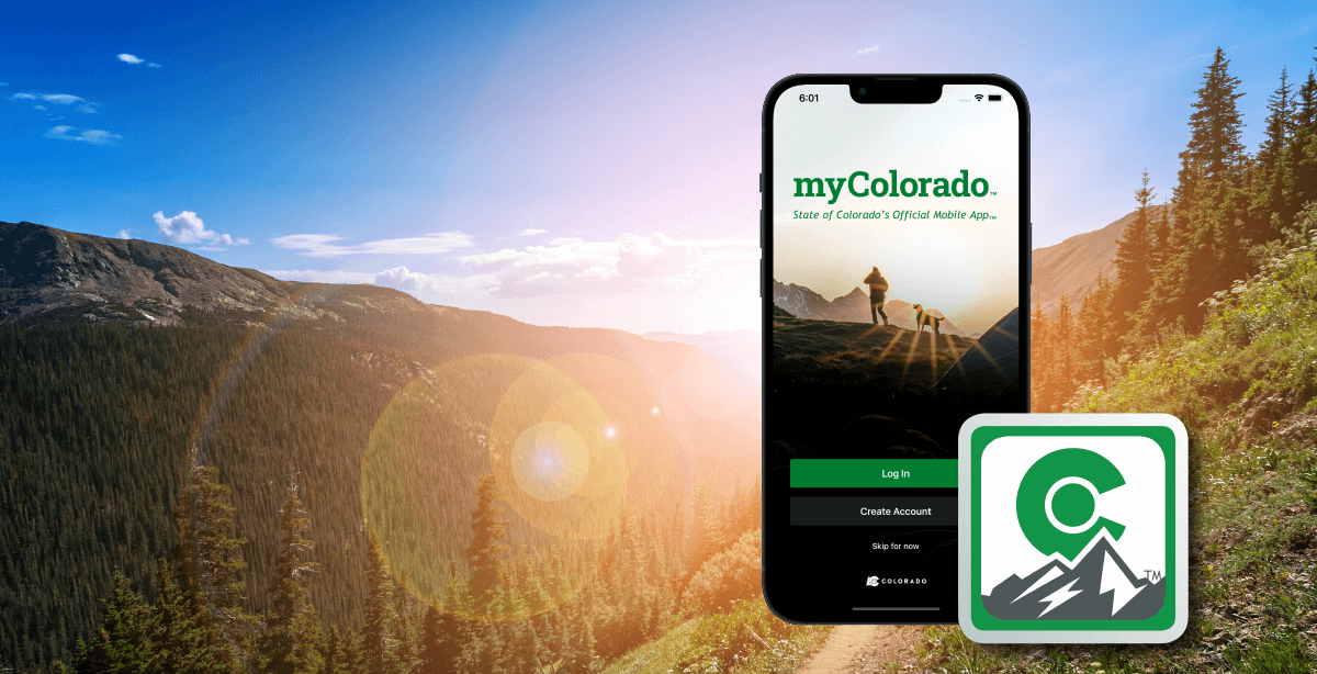 Partnering to Create an Accessible State Mobile App